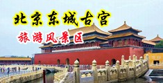女人阴道口被插视频中国北京-东城古宫旅游风景区